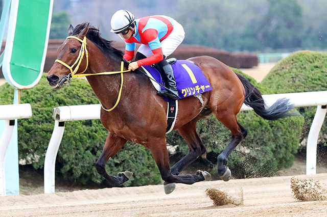 馬体検査とは何 放馬との関係や競走除外の払い戻しはあるか トレンド会議