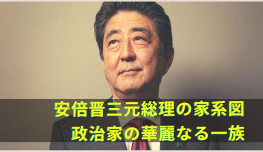 安倍晋三の家系図｜岸家と安倍家と血縁関係がある政治家をわかりやすく解説